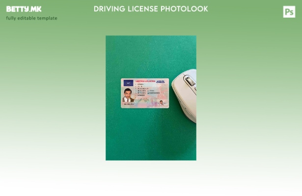 модерен стил Latvia DL photolook FRONT шаблон